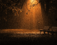 0800ir6y-a304-200x158.gif