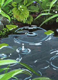 0800irm7-854a-200x275.gif