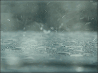 0800iroe-02c1-200x150.gif
