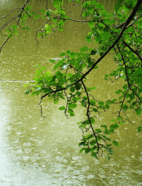 0800iroj-91e8-200x262.gif