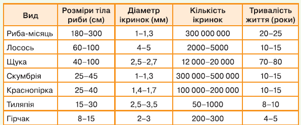 0800izyf-5fba-596x248.png