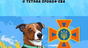 Мінна безпека