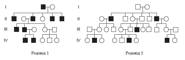 0800j3nw-b472-593x192.png