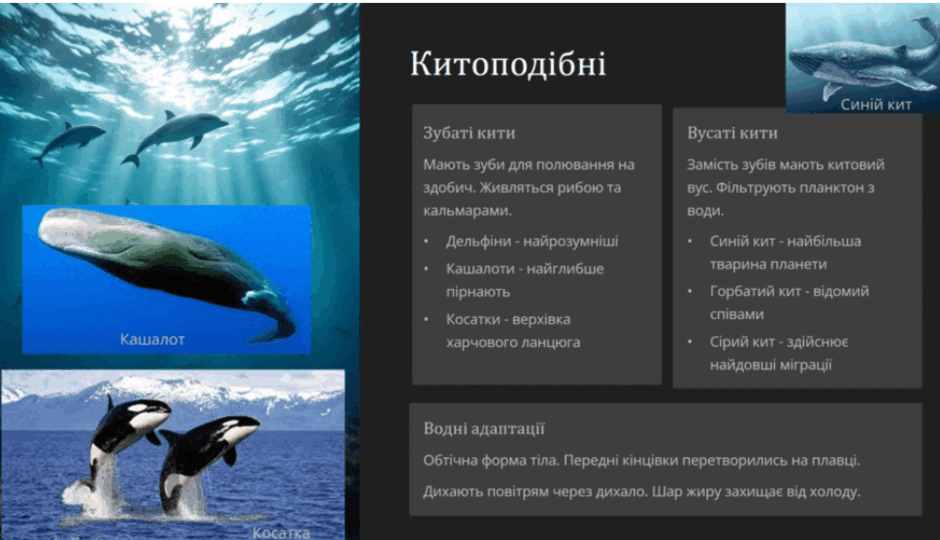0800j66o-dcb0-940x540.png