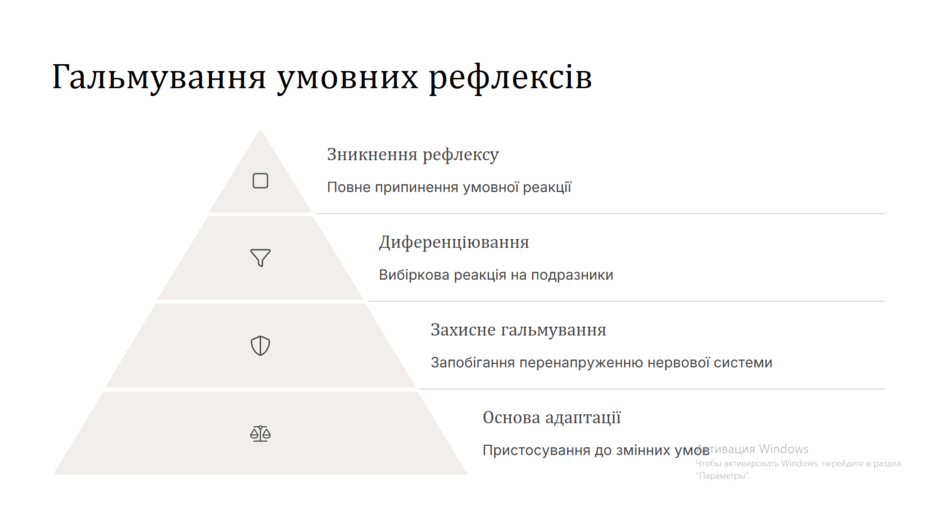 0800j69f-4987-940x529.png