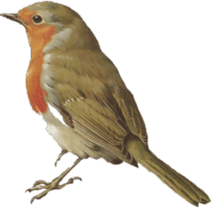 0800j7de-41e8-414x406.png