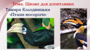 Цікаве для допитливих. Тамара Колодницька "Птахи-носороги"
