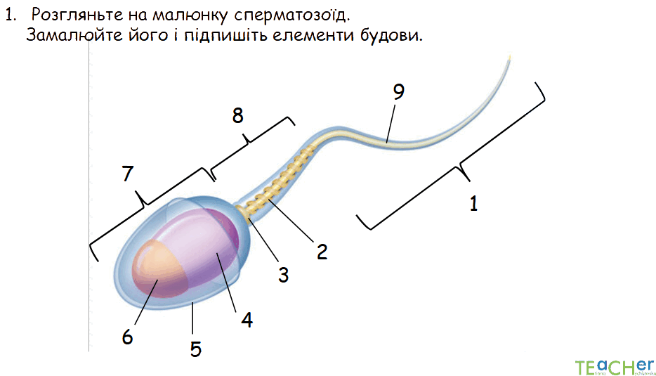 0800jf0x-dc84-934x535.png