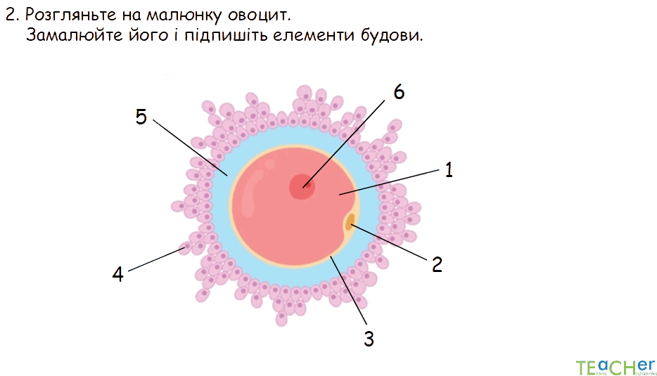 0800jf19-7b3e-934x535.png
