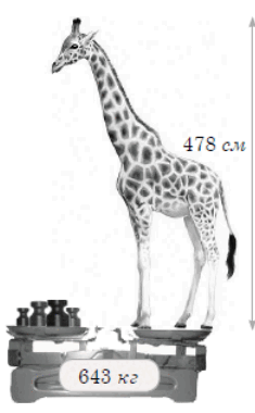0800jikj-5fed-235x380.png