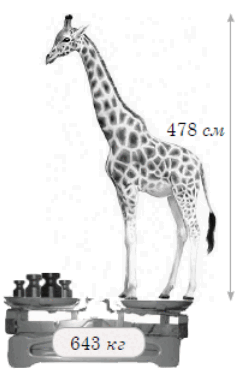 0800jin2-37c8-240x382.png