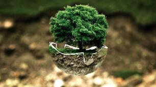 Form 9. Nature and the Environment
