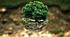 Form 9. Nature and the Environment