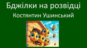 Бджілки на розвідці. Відео для формування свідомого та швидкого читання