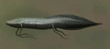0800jjau-a56a-216x97.png