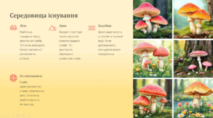 Характерні риси грибів.