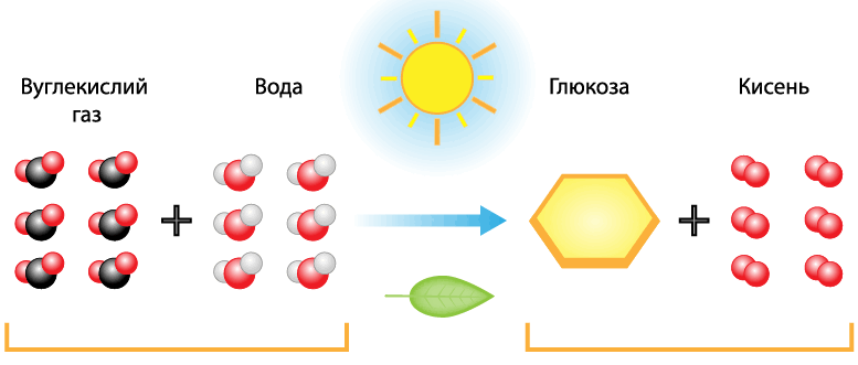 0800jlky-5f55-777x331.png