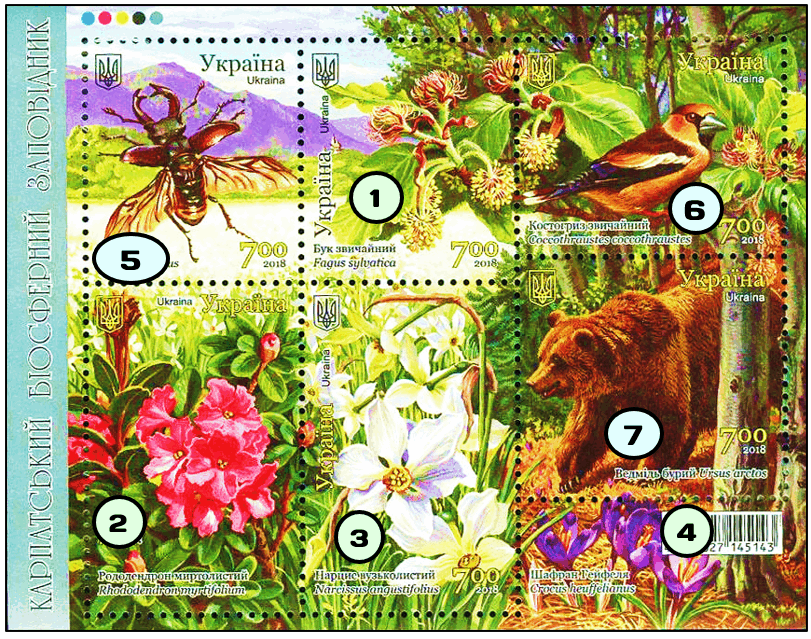 0800jut0-a493-811x639.png