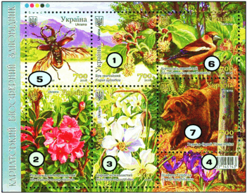 0800jwac-d305-351x276.png