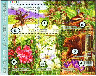 0800jwbr-5d48-332x261.png