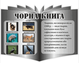 0800jyio-983f-208x168.png