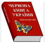 0800jyjj-c103-185x176.png