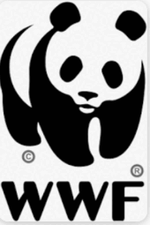 0800jyxy-2ec7-170x255.png
