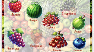 Овочі, фрукти, ягоди