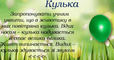 0800k2oo-4d46-380x201.png
