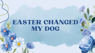 Easter Changed My Dog. 6 class