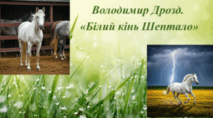 Володимир Дрозд. «Білий кінь Шептало»