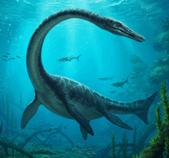 0800k88r-5915-241x226.png