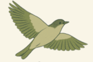 0800ka3q-b74f-135x90.png