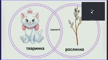 0800kaby-3453-367x206.jpg