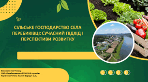 Сільське господарство в селі Перебиківці: Сучасний підхід і перспективи розвитку