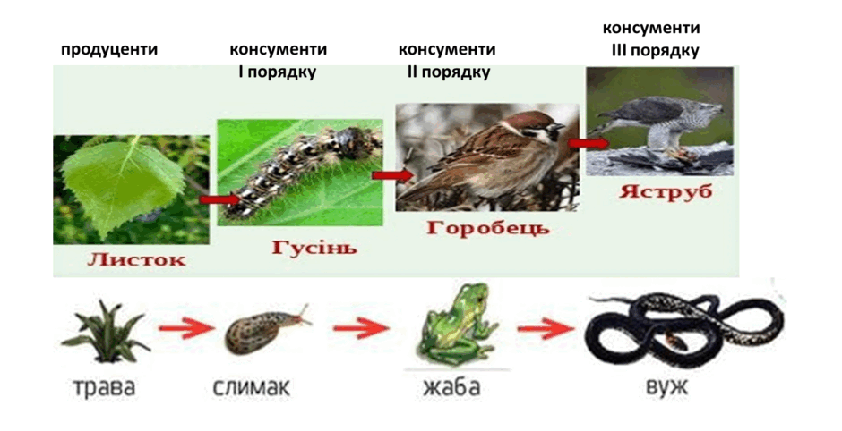 0800kefp-1495-940x482.png