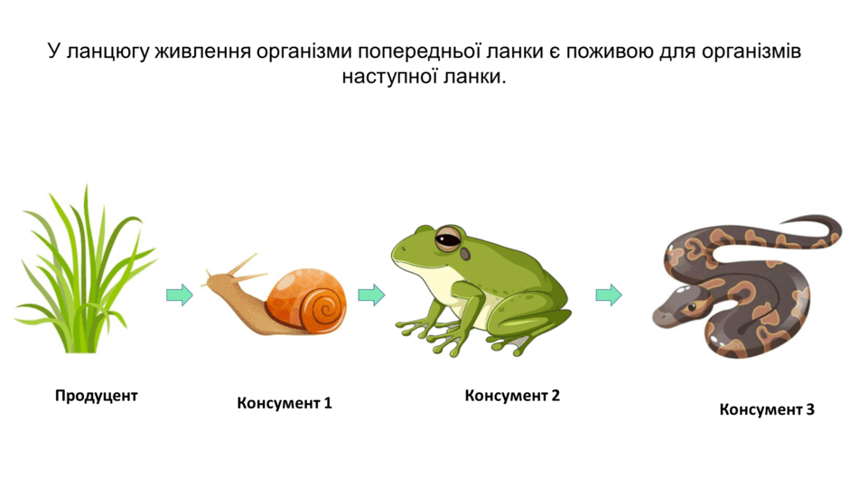 0800kelf-8c7c-940x529.png