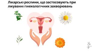 Презентація на тему: "Лікарські рослини, що застосовують при лікуванні гінекологічних захворювань"
