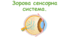 Зорова сенсорна система