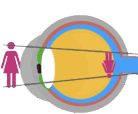 0800kgk4-dcf3-322x266.png