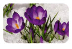 0800kpg5-388f-396x269.png