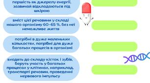 Звідки наш організм бере енергію та будівельний матеріал ПРЕЗЕНТАЦІЯ + РОБОЧИЙ АРКУШ