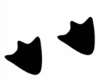 0800kq8u-4a2f-137x112.png