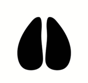 0800kq9a-b9dd-179x168.png