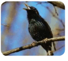 0800kqcn-32c7-139x126.png
