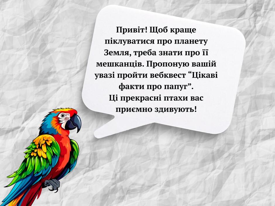 0800kqmz-b04c-940x705.jpg