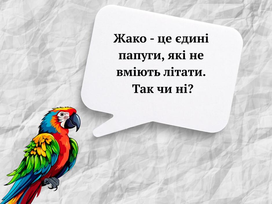 0800kqo0-8a6a-940x705.jpg