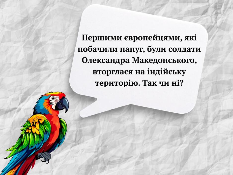 0800kqot-d60d-940x705.jpg