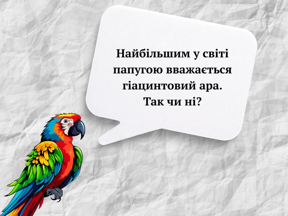 0800kqp8-76f3-940x705.jpg