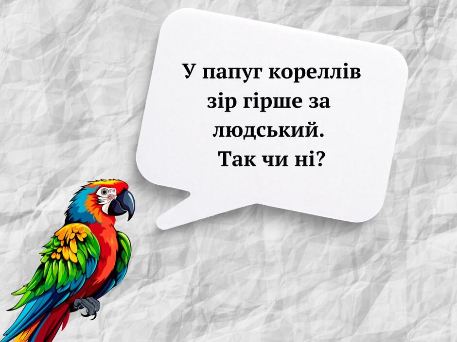0800kqq7-7769-940x705.jpg